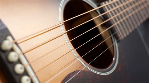 should i start with acoustic or electric guitar: Navigating the Strings of Preference and Possibility